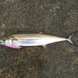 令和元年初日はポーアイで